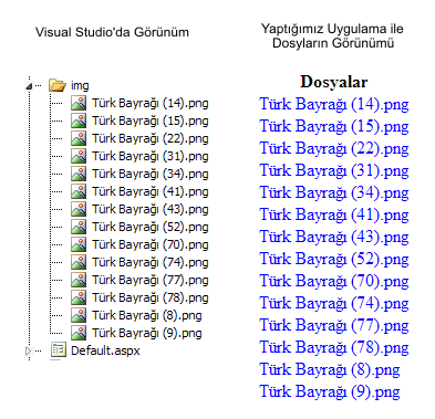 Asp.net ile Dizine ve Dizindeki Dosyalara Ulaşma